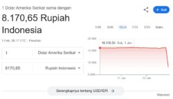 dollar as